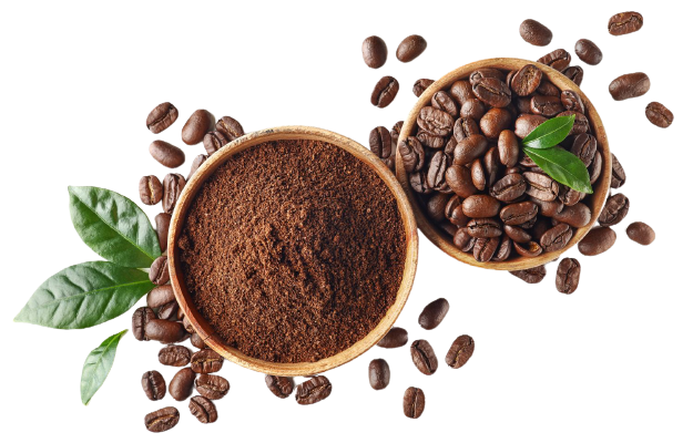 cofee beans isolated